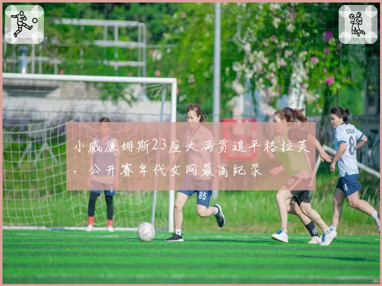小威廉姆斯23座大满贯追平格拉芙,公开赛年代女网最高纪录