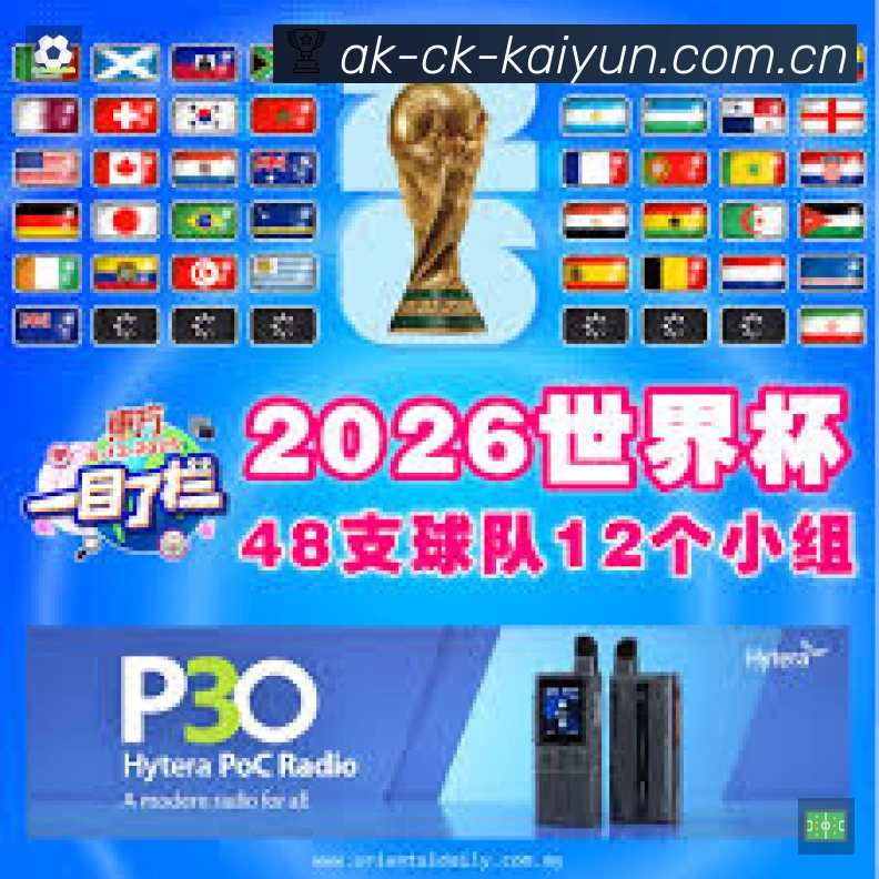 安全使用与支持流程
